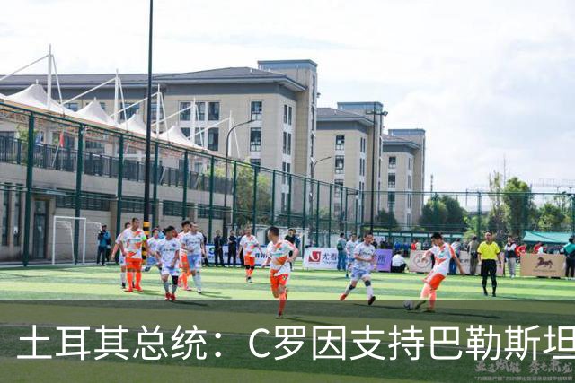 土耳其总统：C罗因支持巴勒斯坦而遭受政治打压